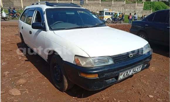 Buy Used Toyota Corolla White Car in Nairobi in Nairobi Buy Used Toyota Corolla White Car in Nairobi in Nairobi