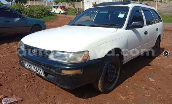 Buy Used Toyota Corolla White Car in Nairobi in Nairobi Buy Used Toyota Corolla White Car in Nairobi in Nairobi