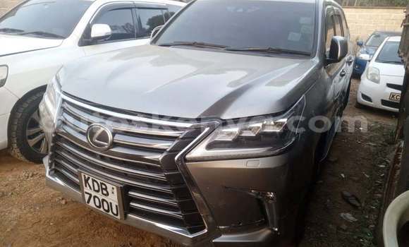Buy Used Lexus LX 570 Other Car in Nairobi in Nairobi