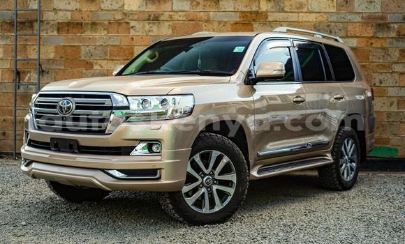 Oofamaa Toyota Land Cruiser Beige Makiinaa iti Nairobi keessatti Nairobi keessatti Oofamaa Toyota Land Cruiser Beige Makiinaa iti Nairobi keessatti Nairobi keessatti