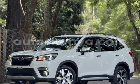 Buy Used Subaru Forester White Car in Nairobi in Nairobi