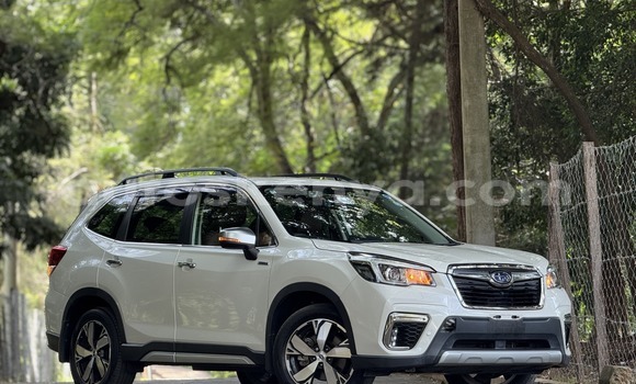 Buy Used Subaru Forester White Car in Nairobi in Nairobi Buy Used Subaru Forester White Car in Nairobi in Nairobi
