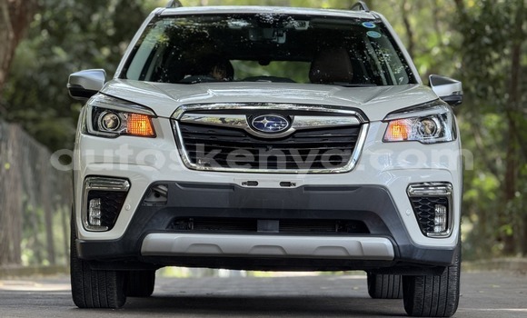 Buy Used Subaru Forester White Car in Nairobi in Nairobi Buy Used Subaru Forester White Car in Nairobi in Nairobi