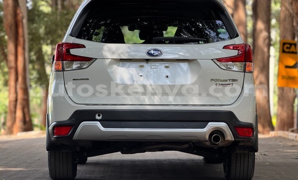Buy Used Subaru Forester White Car in Nairobi in Nairobi Buy Used Subaru Forester White Car in Nairobi in Nairobi