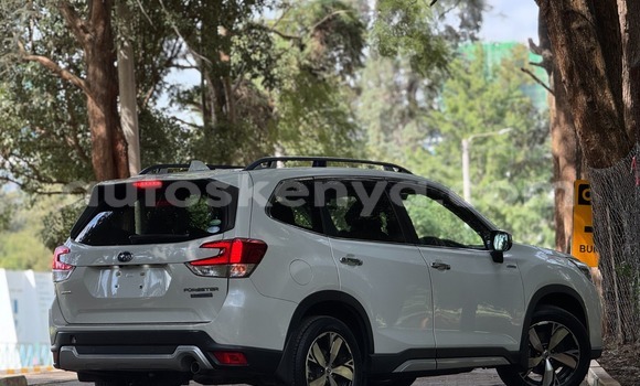 Buy Used Subaru Forester White Car in Nairobi in Nairobi Buy Used Subaru Forester White Car in Nairobi in Nairobi