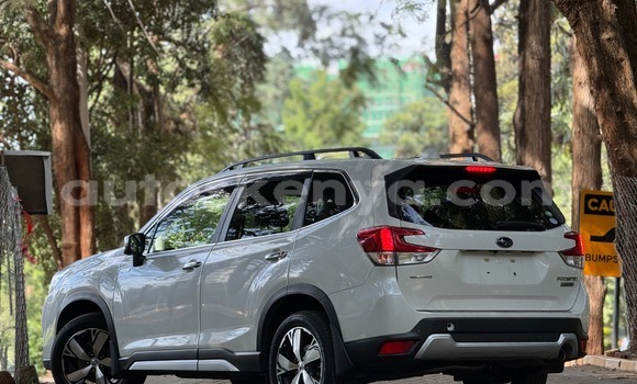 Buy Used Subaru Forester White Car in Nairobi in Nairobi Buy Used Subaru Forester White Car in Nairobi in Nairobi