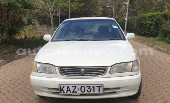 Buy Used Toyota Corolla White Car in Machakos in Nairobi