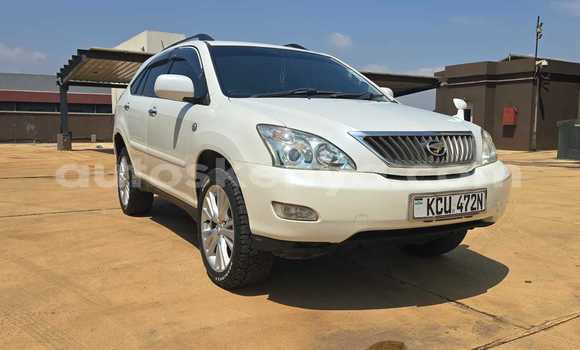 Buy Used Toyota Harrier White Car in Nairobi in Nairobi Buy Used Toyota Harrier White Car in Nairobi in Nairobi