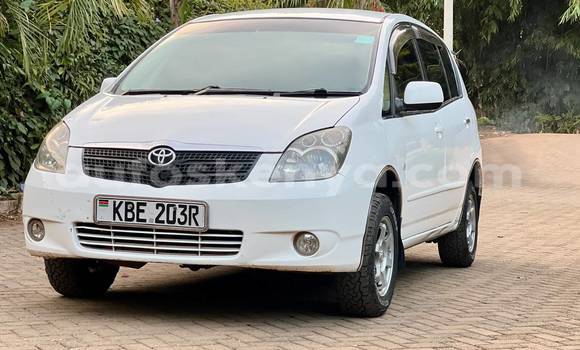 Buy Used Toyota Spacio White Car in Nairobi in Nairobi