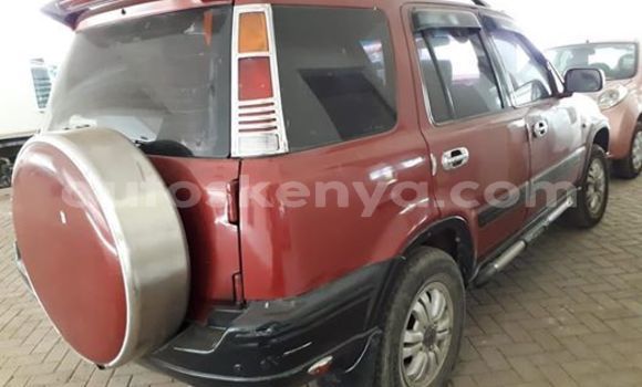 Nunua Ilio tumika Honda CR–V Nyekundu Gari ndani ya Nairobi nchini Nairobi Nunua Ilio tumika Honda CR–V Nyekundu Gari ndani ya Nairobi nchini Nairobi
