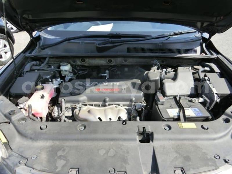 Big with watermark 61125144 1685684124909322 2911648245098741760 n