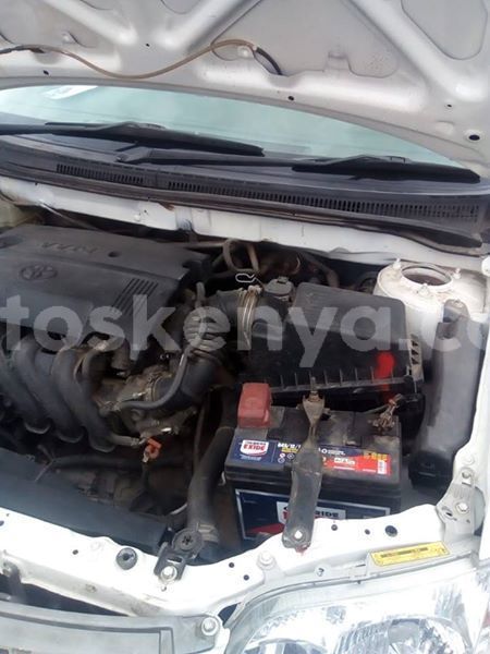 Big with watermark 57004740 1649565808521154 8510988441649938432 n