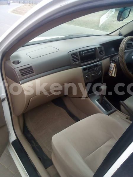 Big with watermark 56885217 1649565735187828 5193164396339134464 n