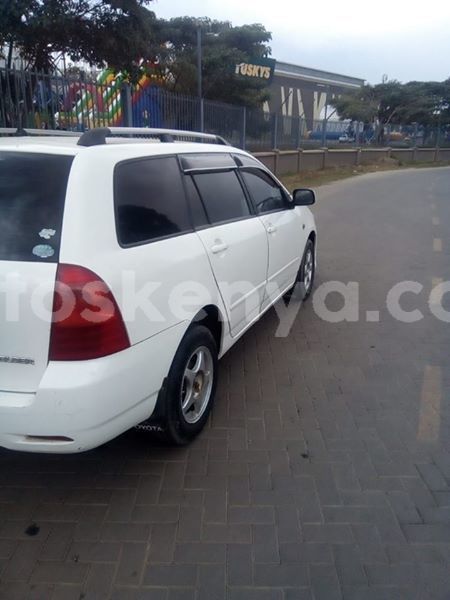 Big with watermark 56927294 1649565715187830 257456699252670464 n