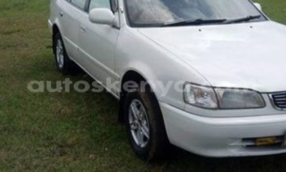 Buy Used Toyota Corolla White Car in Nakuru in Rift Valley Buy Used Toyota Corolla White Car in Nakuru in Rift Valley