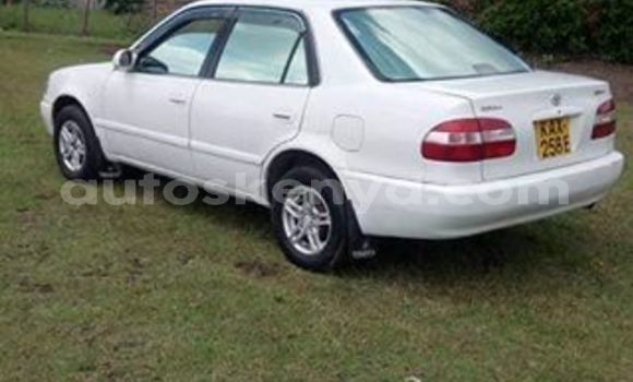 Buy Used Toyota Corolla White Car in Nakuru in Rift Valley Buy Used Toyota Corolla White Car in Nakuru in Rift Valley