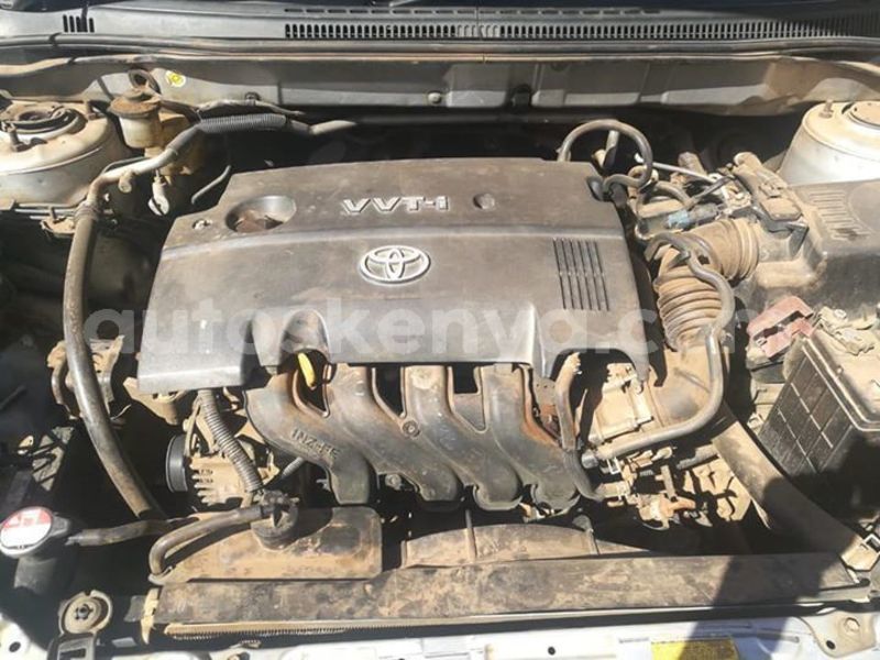 Big with watermark 54430497 10213718260251914 1846240083582124032 n