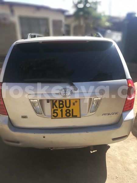 Big with watermark 54729844 10213718259531896 2791113161917333504 n