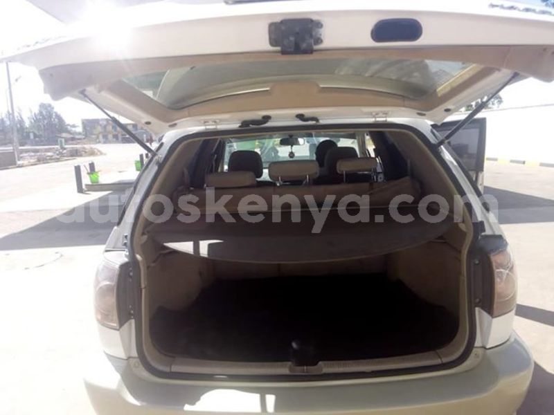 Big with watermark 55444997 10213692711733217 6322598313942056960 n