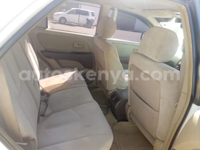 Big with watermark 54730083 10213692711013199 2387053689660506112 n