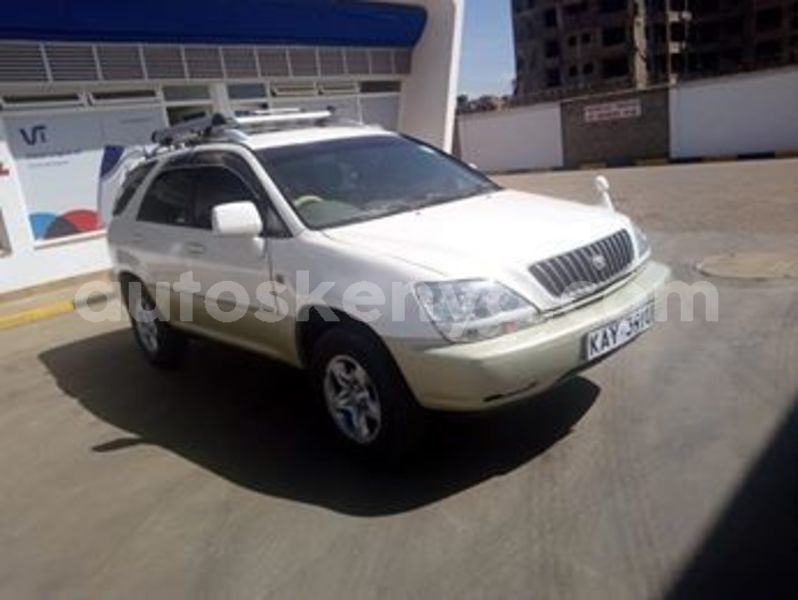 Big with watermark 53808725 10213692708573138 6276822681350307840 n