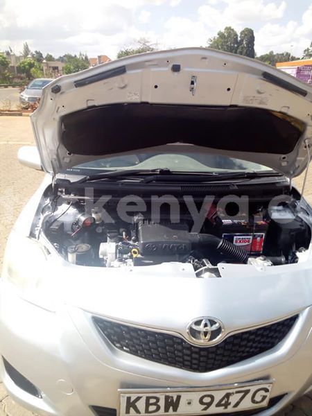 Big with watermark 52984148 10213617384530084 2691327825952112640 n