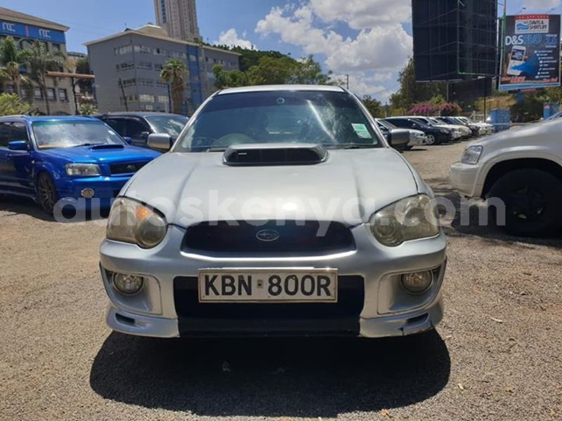 Big with watermark 57852492 10218857237404825 7055967402822991872 n