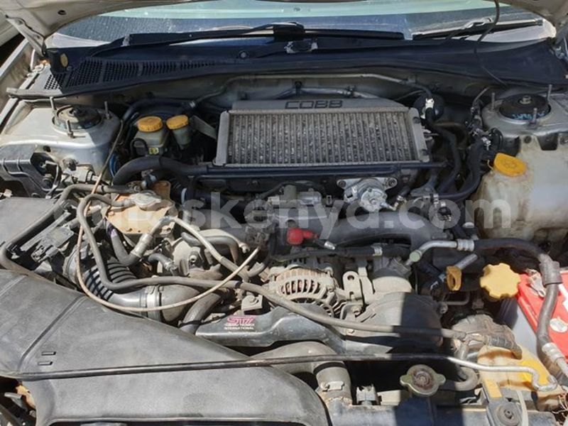 Big with watermark 57076245 10218857239164869 3822525291486511104 n