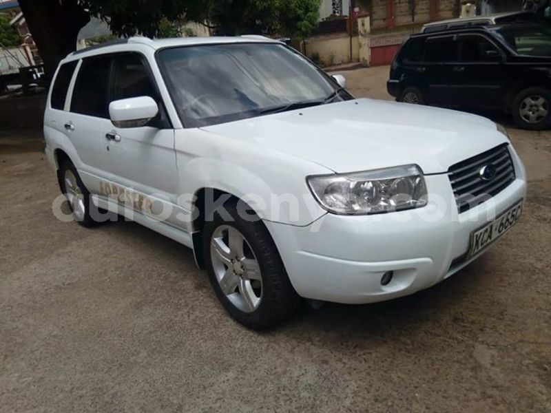 Big with watermark 62172973 10214678060451611 3360275974510870528 n