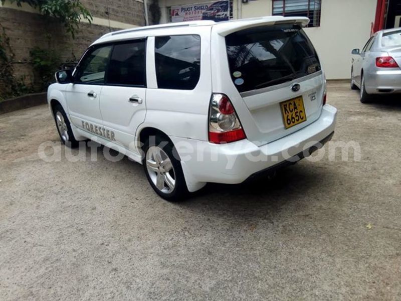 Big with watermark 62086586 10214678060251606 1864457573915164672 n