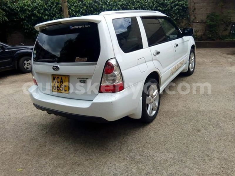 Big with watermark 62009499 10214678059611590 1019922400562642944 n