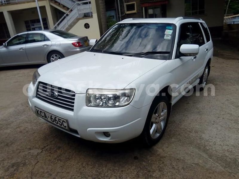 Big with watermark 62052605 10214678059211580 6896739667941523456 n