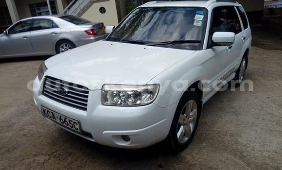 Nunua Ilio tumika Subaru Forester Nyeupe Gari ndani ya Nairobi nchini Nairobi Nunua Ilio tumika Subaru Forester Nyeupe Gari ndani ya Nairobi nchini Nairobi