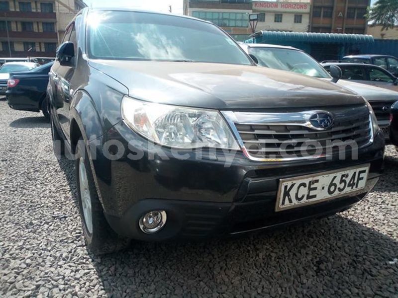 Big with watermark 56296935 10214267302262913 5218503406305411072 n