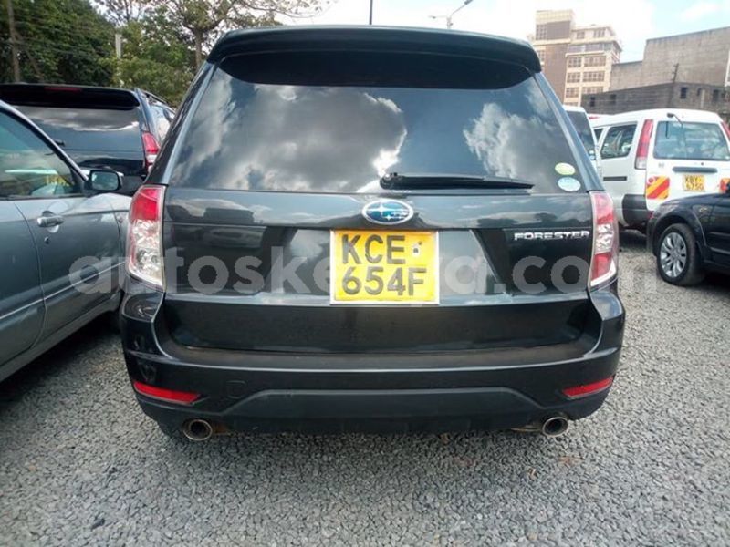 Big with watermark 56537472 10214267303942955 2229845263718023168 n