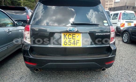 Nunua Ilio tumika Subaru Forester Nyeusi Gari ndani ya Nairobi nchini Nairobi Nunua Ilio tumika Subaru Forester Nyeusi Gari ndani ya Nairobi nchini Nairobi