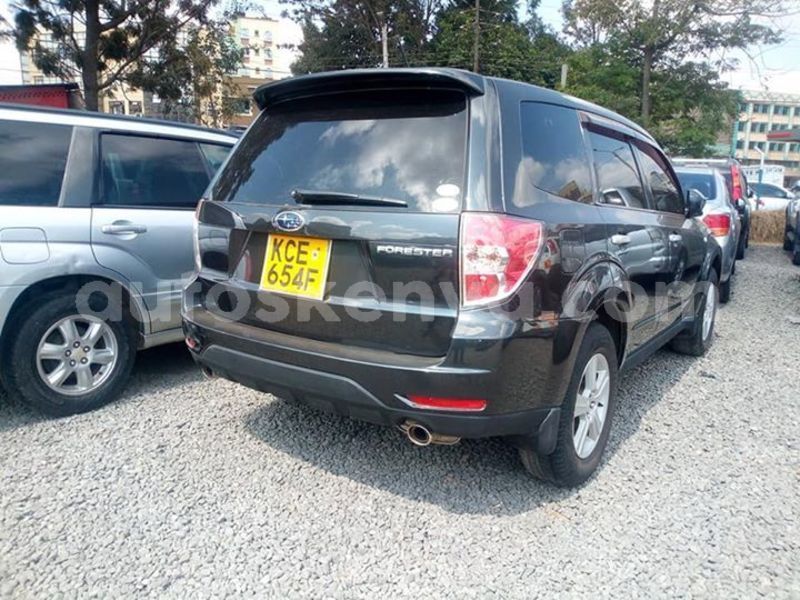 Big with watermark 56340065 10214267303502944 3924040979580977152 n