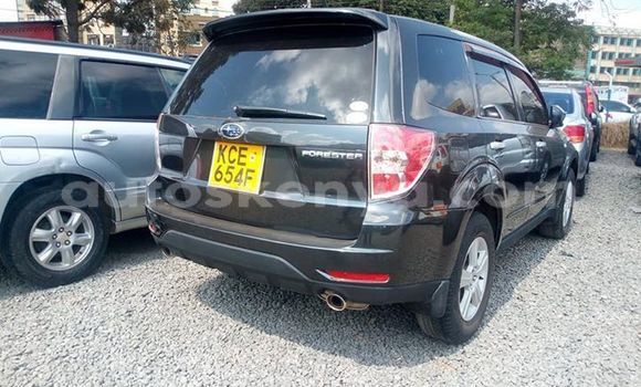 Nunua Ilio tumika Subaru Forester Nyeusi Gari ndani ya Nairobi nchini Nairobi Nunua Ilio tumika Subaru Forester Nyeusi Gari ndani ya Nairobi nchini Nairobi