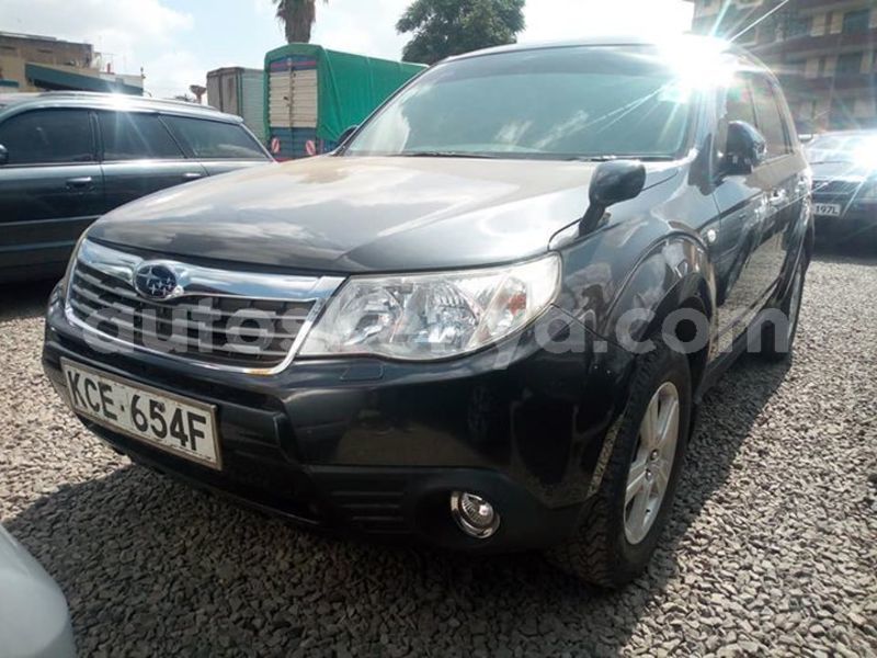 Big with watermark 56669623 10214267302702924 8660180560242540544 n