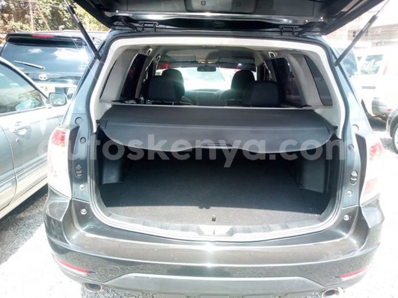 Big with watermark 56196732 10214267301462893 744947740890365952 n