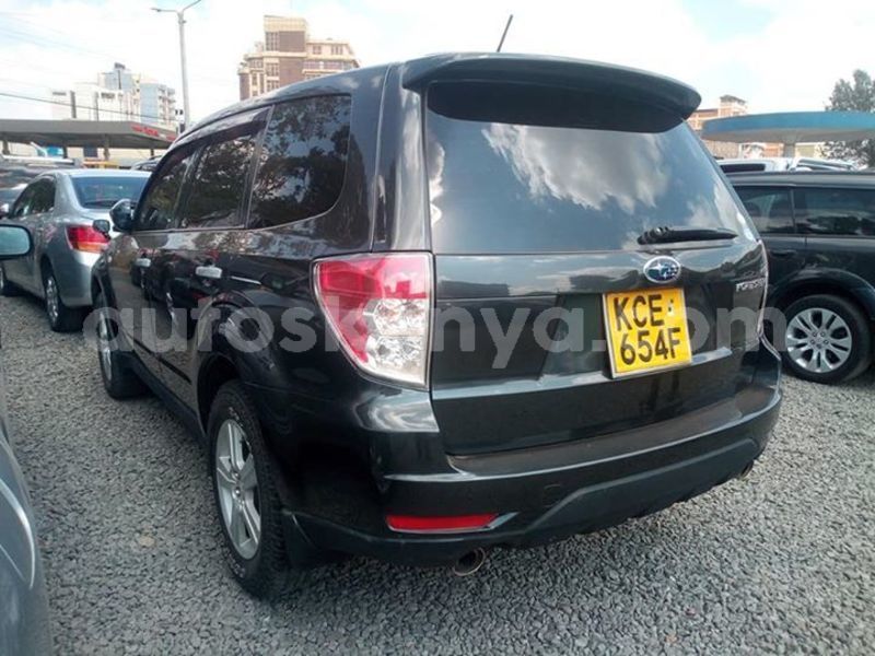 Big with watermark 56536137 10214267300742875 3440254639293857792 n