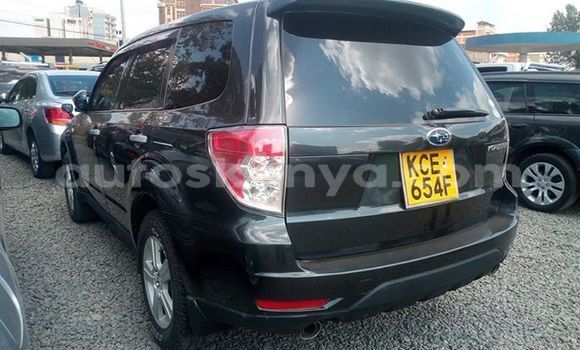 Nunua Ilio tumika Subaru Forester Nyeusi Gari ndani ya Nairobi nchini Nairobi Nunua Ilio tumika Subaru Forester Nyeusi Gari ndani ya Nairobi nchini Nairobi