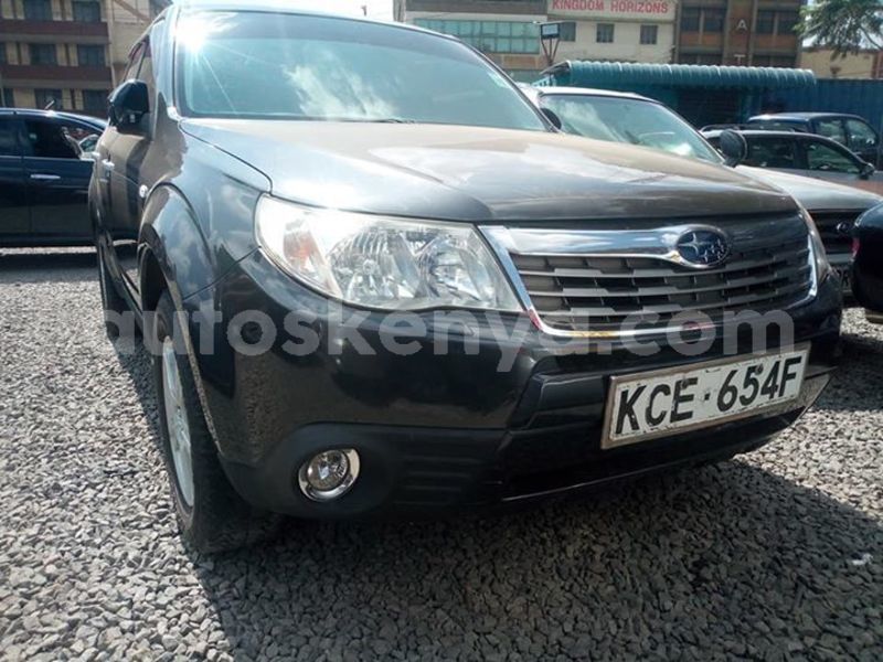 Big with watermark 56191302 10214267300462868 5401189792996130816 n