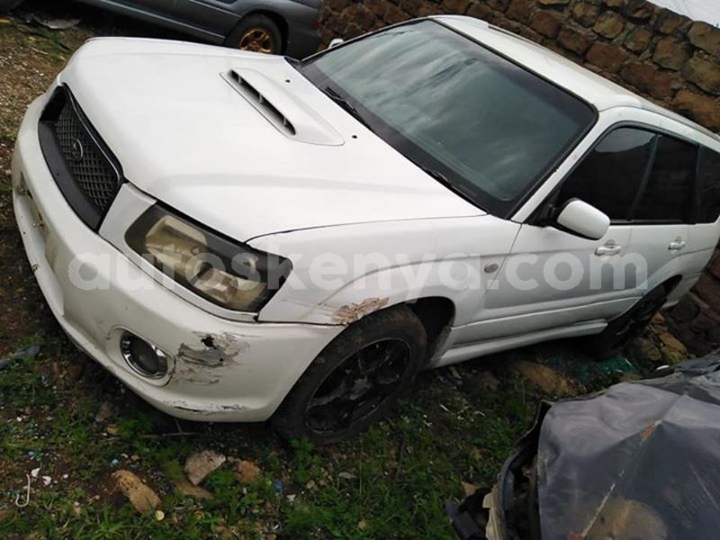 Big with watermark 62511976 2282875458499317 7062693394622971904 n