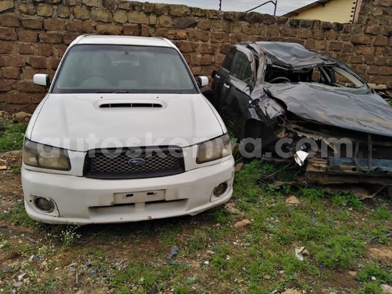 Big with watermark 62383716 2282875515165978 552894812211118080 n