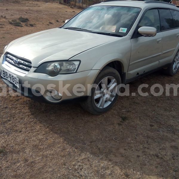 Big with watermark 62023987 601510400359261 757631780042833920 n