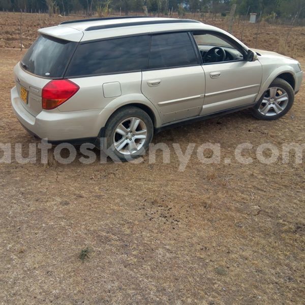 Big with watermark 62019565 601510167025951 8599188017434853376 n