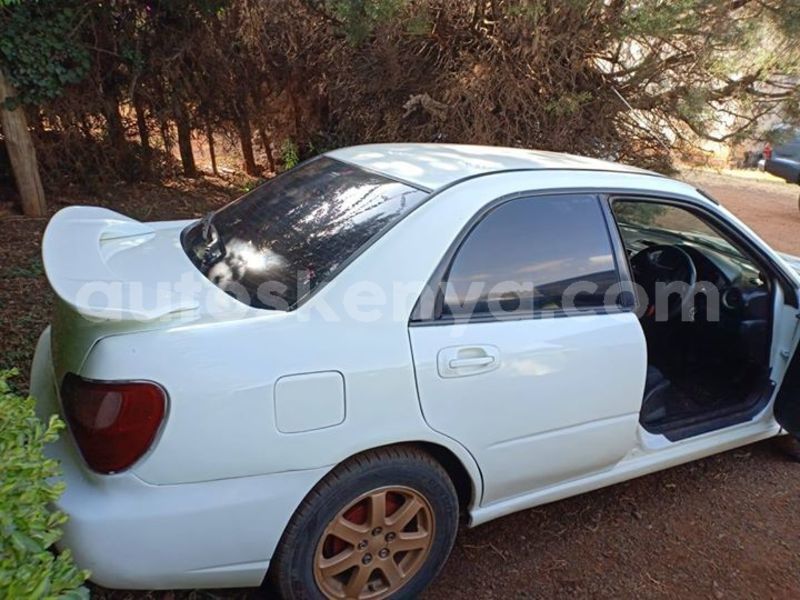 Big with watermark 64239979 125193012028925 5440350600426422272 o