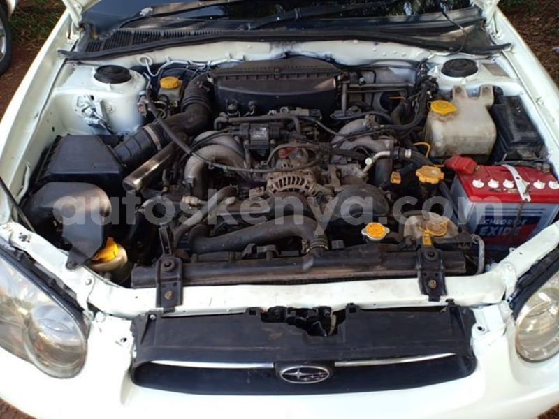 Big with watermark 64310934 125192938695599 5806411281539792896 o