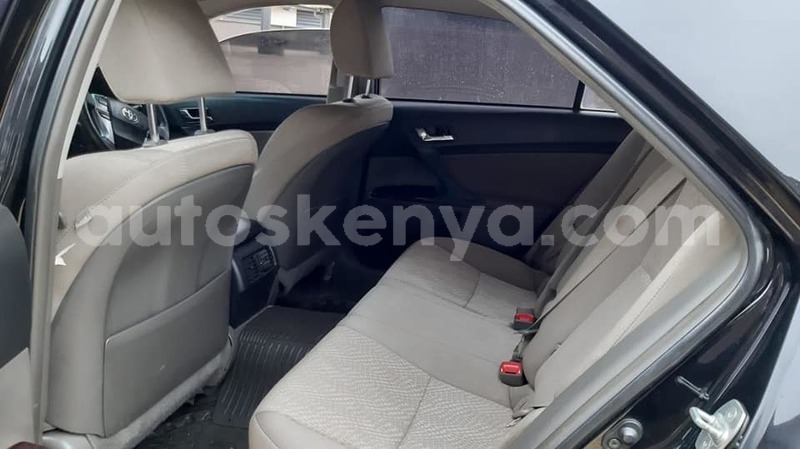 Big with watermark 64738620 2335424123340422 3819781297010638848 n